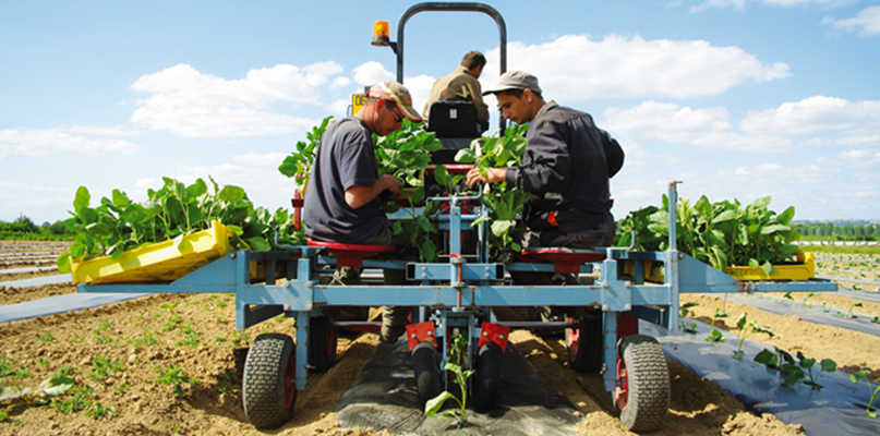 Recrutement  Les Jardins de Meslay