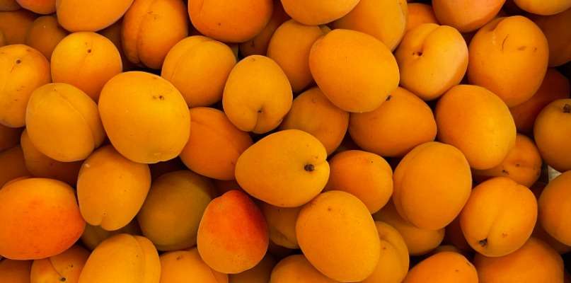 Arrivage Abricots Abricots