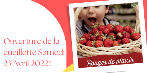 OUVERTURE FRAISES ET ANNONCE OUVERTURE