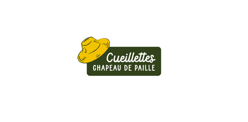 Fleurs à sécher : les immortelles et les statices